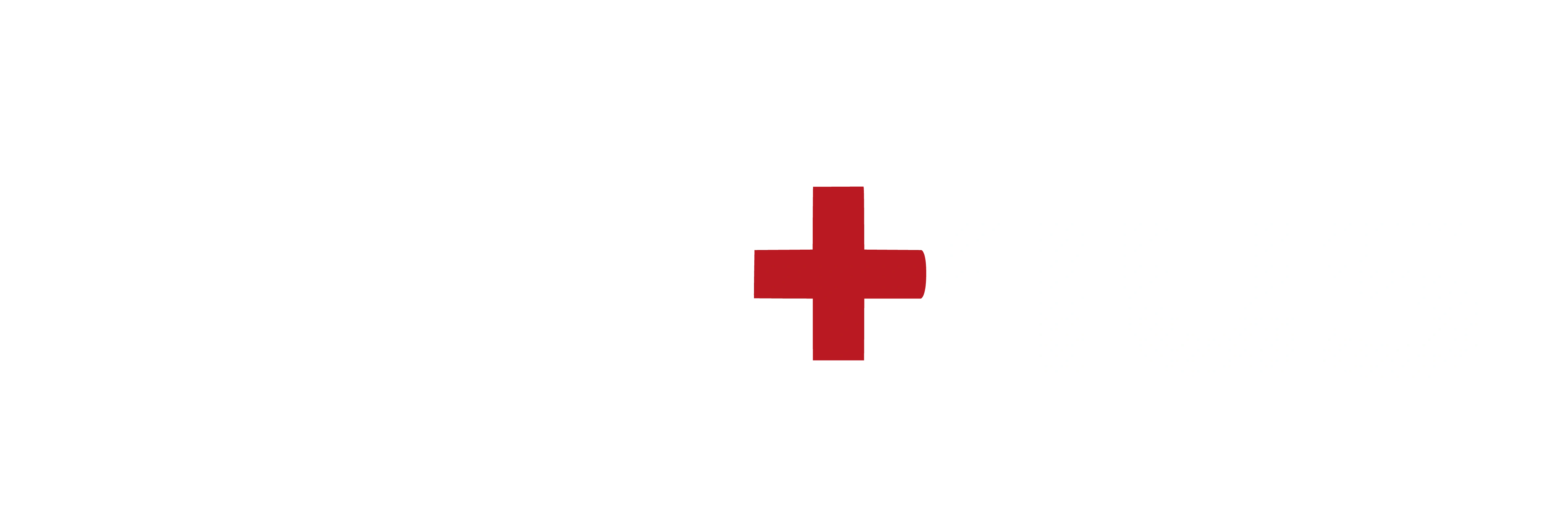 Cari Plus — ön muhasebe yazılımı logosu